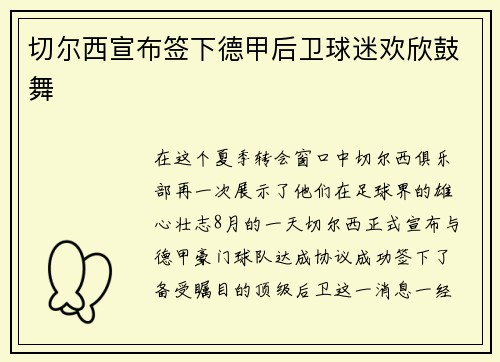 切尔西宣布签下德甲后卫球迷欢欣鼓舞